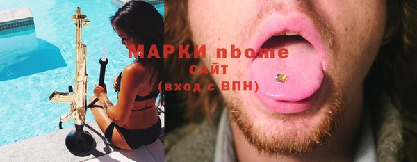 хмурый Сосновый Бор