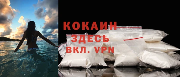 хмурый Сосновый Бор