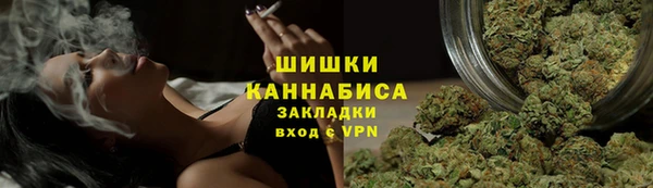 хмурый Сосновый Бор