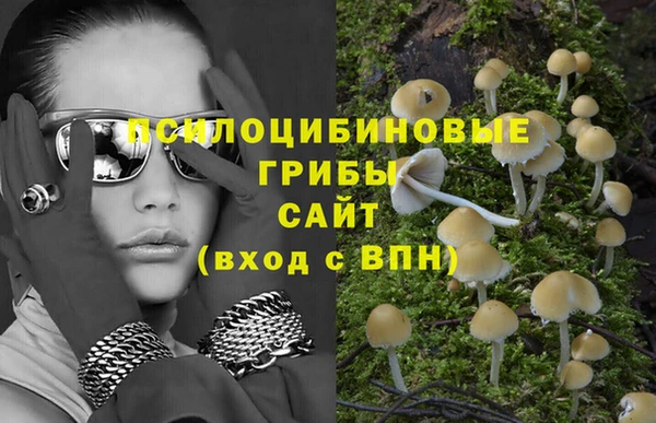 MDMA Premium VHQ Сосновка