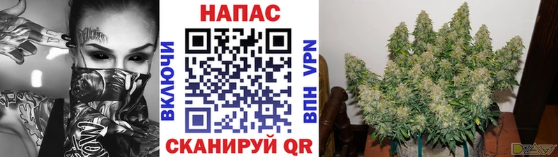 где найти   Сретенск  Бошки марихуана White Widow 